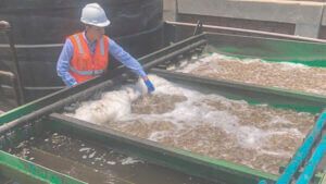 Tratamiento de Aguas Residuales